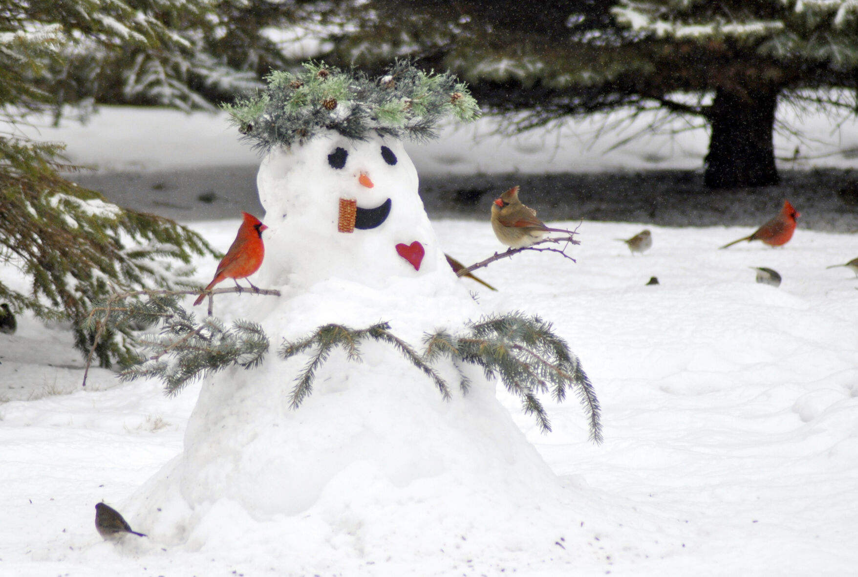 Snow Friends
